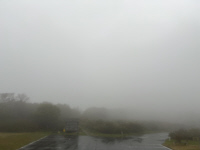 曇のち雨