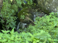 �J���X��